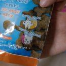 컴페니온