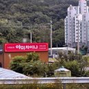 야미차이나 이미지