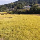 각산리 마을회관 이미지