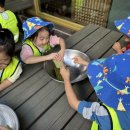 지혜숲어린이집 | 우리들 자연학교 10월 24일 고양 시립 이음 어린이집 수업 후기