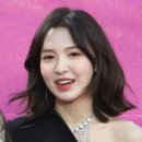 웬디 이미지