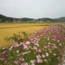 환상3리 이미지