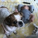 유호체육관 이미지