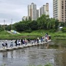 삼봉초교 이미지