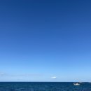 아침의 바다 이미지