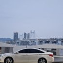 태극권&명상 이미지