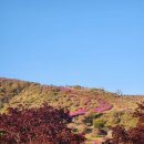 제81회 합천 황매산 산행 이미지