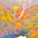 신계초등학교 이미지