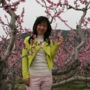 연제구-017 이미지