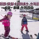 정선군스키협회 이미지