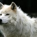 대전상가 이미지