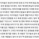 “친구와 같이 왔다”… 옷 맞춰 입고 응원 열 올린 ‘개딸’들 이미지