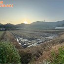 주막뜸천 네이버블로그