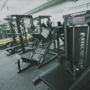 필라트니스 이미지