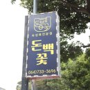 돈백꽃서귀포점 이미지