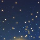 별더농장 이미지