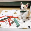 마도공단로 1길 이미지