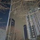 CU신천자이아파트상가점 | 함안술집맛집 // 닭볶음탕, 짜글이, 어묵탕 찐 맛집!!//자이그집