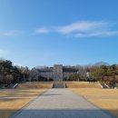 고려대학교안경콘택트 이미지