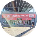 캣츠살롱 | 35회 서울 세텍 궁디팡팡 캣페스타