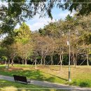 상전게이트볼장 이미지