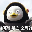카페라이커