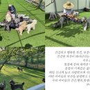 대양켄넬 네이버블로그