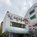 진성장어 | '진성장어' 안양 평촌 장어구이집 추천❤️