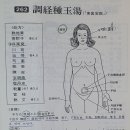 대하조경