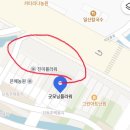 [일상( ˘ ³˘)♡] 서오릉 화훼단지 미스김라일락 꽃나무 구매 후기