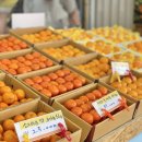 교래팔도농수산 이미지