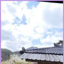 지리산둥이네