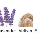 킁카킁카 이미지