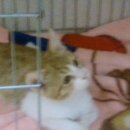 재송2동-31 이미지