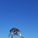 박봉환농장 이미지