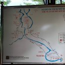 미선식당 이미지