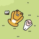 한국미래진로센터 이미지