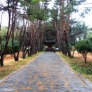 남해-232 이미지