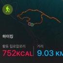 진흥사 이미지