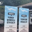 2024 서울억새축제 방문 후기/상암 하늘공원/가을 축제
