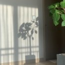 이레축산 이미지