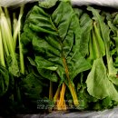 삿갓농장(2) 이미지