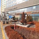 우남스타공인중개사사무소 이미지