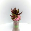 푸르미아어린이집 이미지