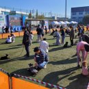 동탄 수질복원센터 축구장 이미지