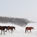 용기목장 이미지