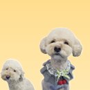 왈츠동물병원 이미지