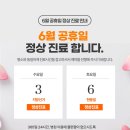 노원N동물의료센터