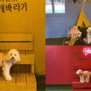 땡큐펜션 이미지