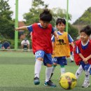 대승프라임 이미지